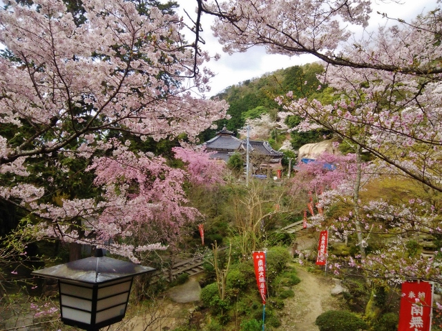 f:id:seiwa_yamaguchi:20170419202544j:plain f:id:seiwa_yamaguchi:20170419202544j:plain