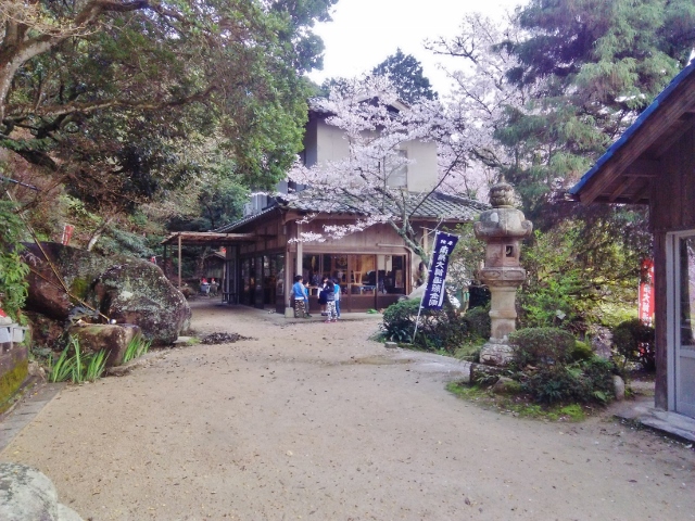 f:id:seiwa_yamaguchi:20170419212211j:plain f:id:seiwa_yamaguchi:20170419212211j:plain