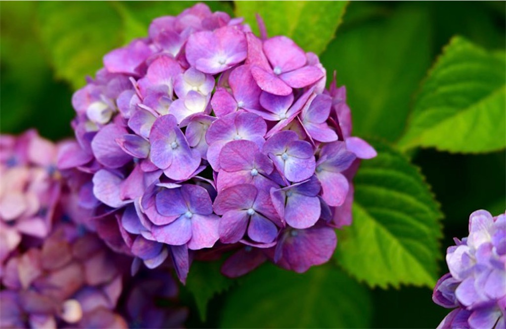 f:id:seiwasougisha:20260607190217j:image