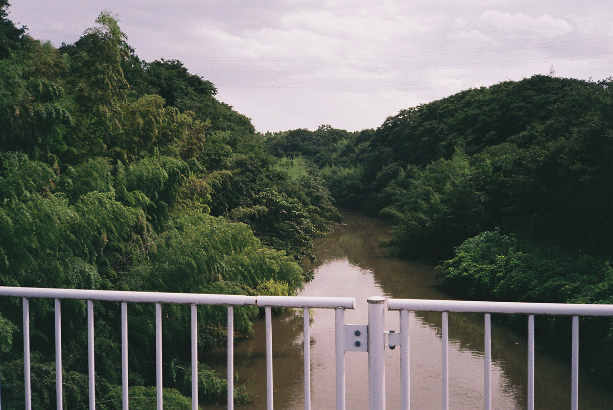 花見川のスナップ写真１