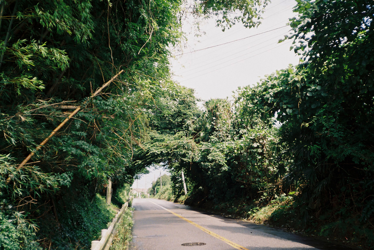 花見川のスナップ写真3