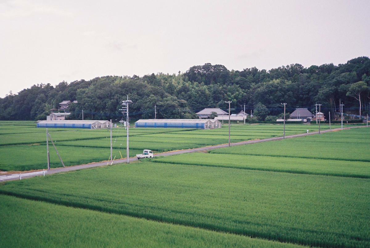 茨城のスナップ写真4