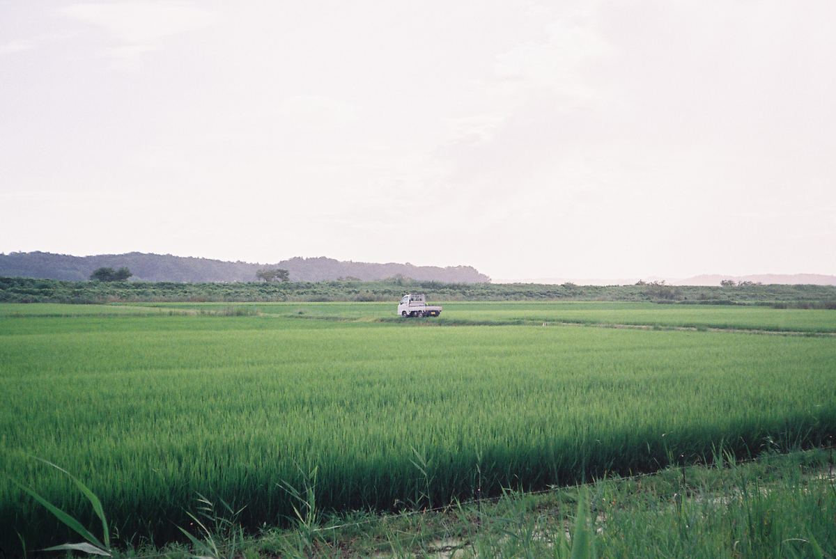 茨城のスナップ写真2