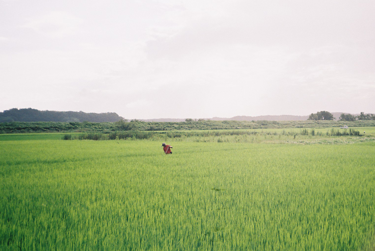 印旛沼のスナップ写真1