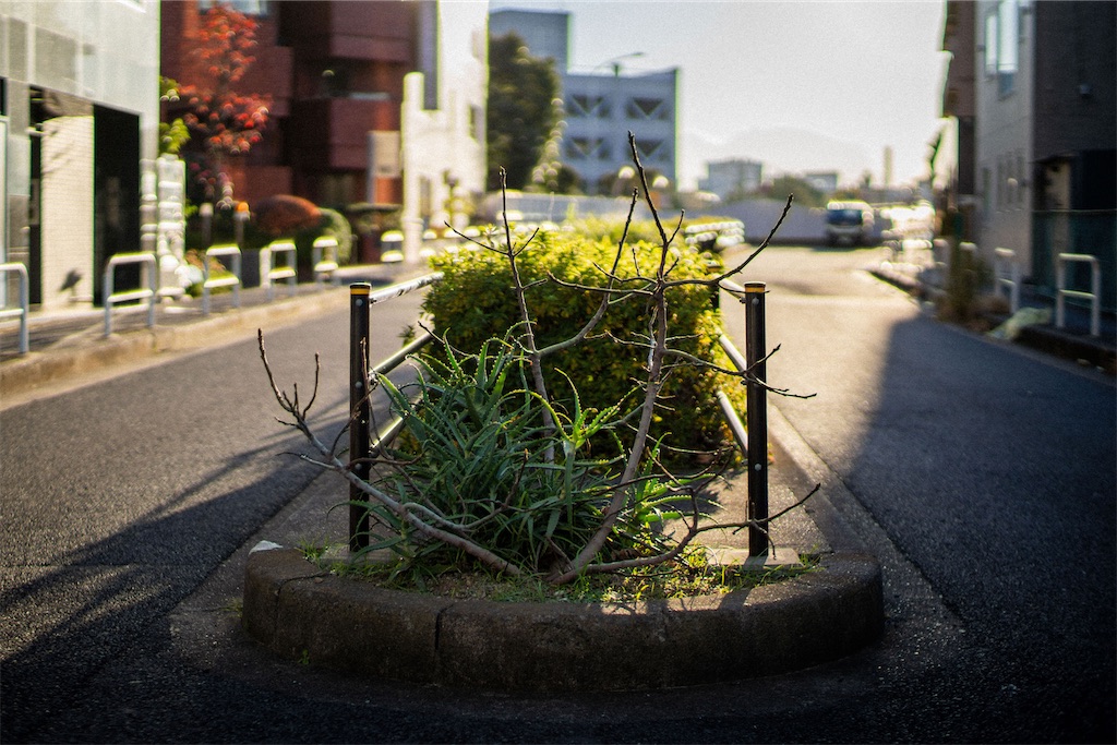 f:id:seiya0211:20241226101405j:image