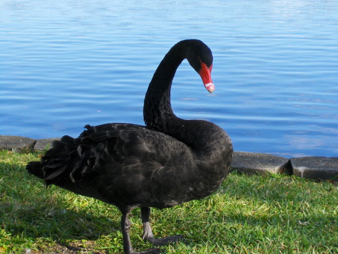 f:id:seiyukenkyujo:20210926095938j:plain