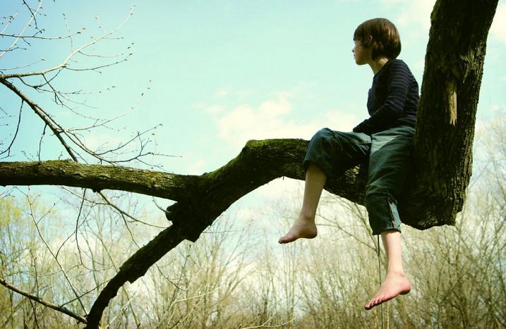 f:id:seizons:20161221202605j:plain f:id:seizons:20161221202605j:plain