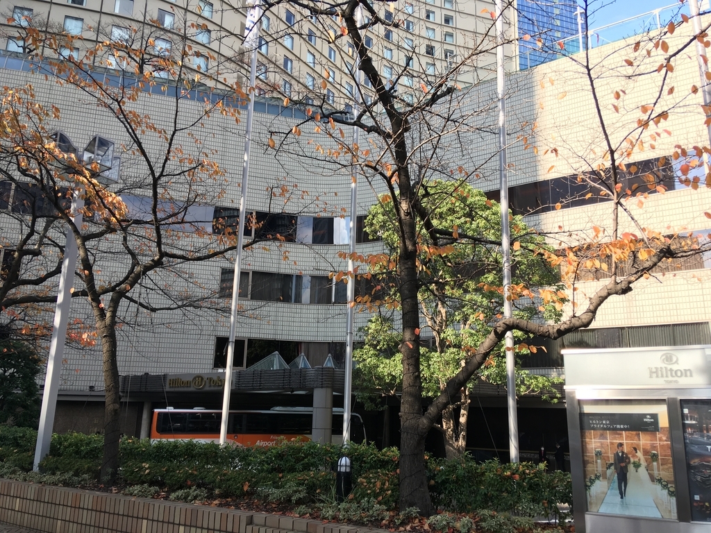 f:id:sekahoi:20181127202018j:plain f:id:sekahoi:20181127202018j:plain