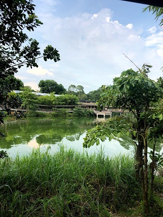 f:id:sekaidesumu:20190806160418j:plain f:id:sekaidesumu:20190806160418j:plain