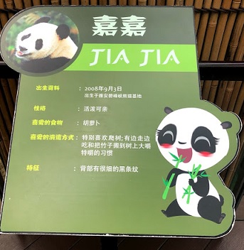f:id:sekaidesumu:20190806161219j:plain f:id:sekaidesumu:20190806161219j:plain