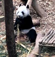 f:id:sekaidesumu:20190806161456j:plain f:id:sekaidesumu:20190806161456j:plain