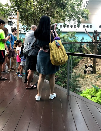 f:id:sekaidesumu:20190806161959j:plain f:id:sekaidesumu:20190806161959j:plain