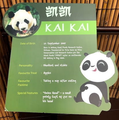 f:id:sekaidesumu:20190806162335j:plain f:id:sekaidesumu:20190806162335j:plain