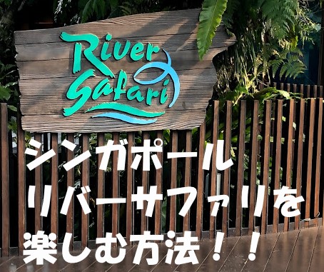 f:id:sekaidesumu:20190808122026j:plain f:id:sekaidesumu:20190808122026j:plain