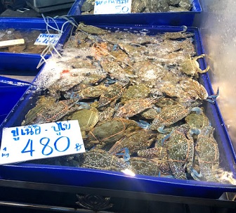 f:id:sekaidesumu:20190912163845j:plain f:id:sekaidesumu:20190912163845j:plain