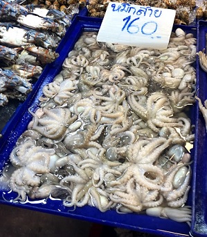 f:id:sekaidesumu:20190912170353j:plain f:id:sekaidesumu:20190912170353j:plain