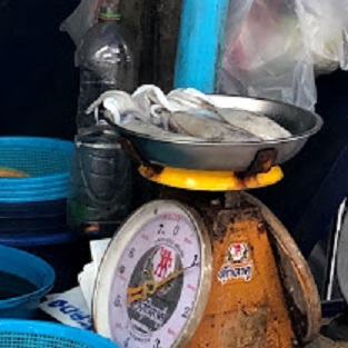 f:id:sekaidesumu:20190913112034j:plain f:id:sekaidesumu:20190913112034j:plain