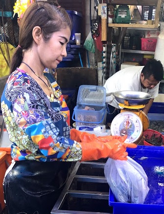 f:id:sekaidesumu:20190913112415j:plain f:id:sekaidesumu:20190913112415j:plain