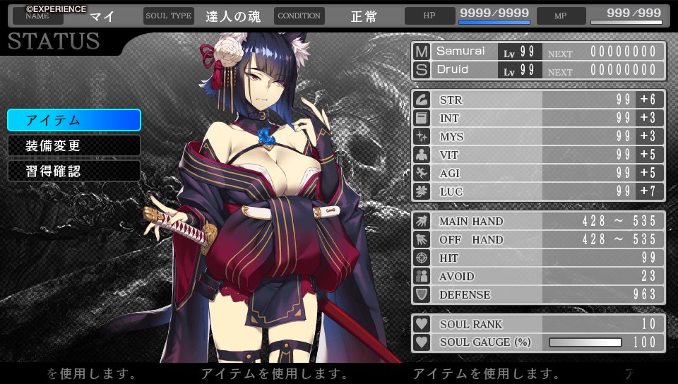 蒼き翼のシュバリエの自分なりのやり込みデータ - sayaのゲーム日記(仮)