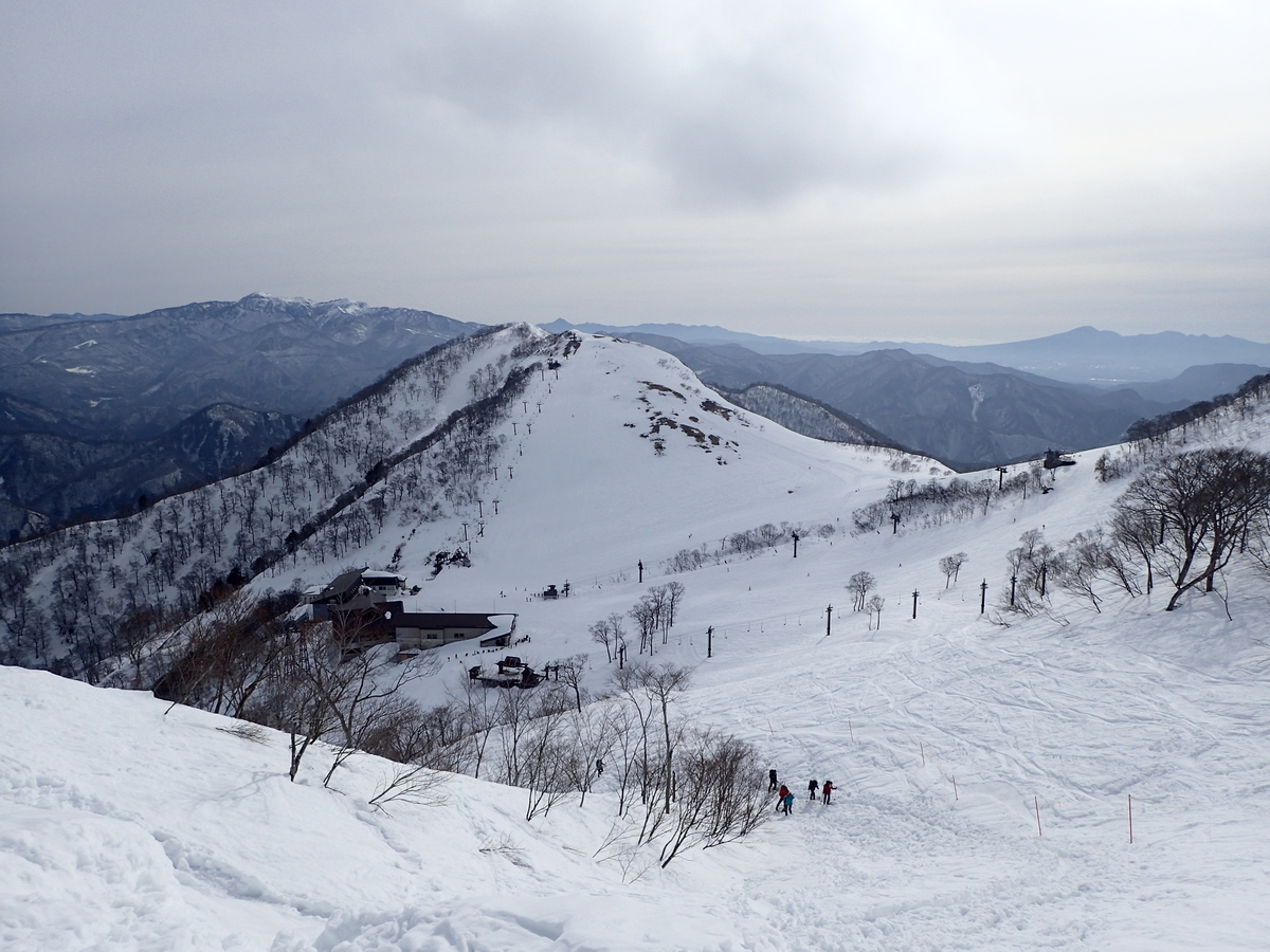 f:id:sekainoyama:20200215095121j:plain f:id:sekainoyama:20200215095121j:plain