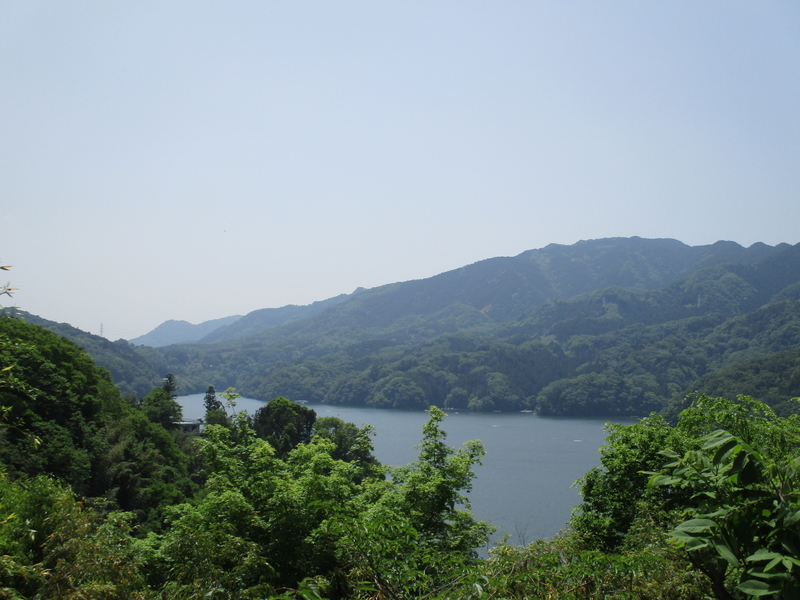 f:id:sekasa5489:20200513185509j:plain f:id:sekasa5489:20200513185509j:plain