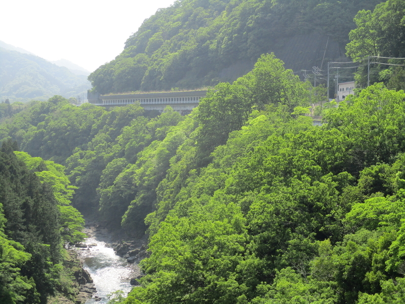 f:id:sekasa5489:20200513191318j:plain f:id:sekasa5489:20200513191318j:plain