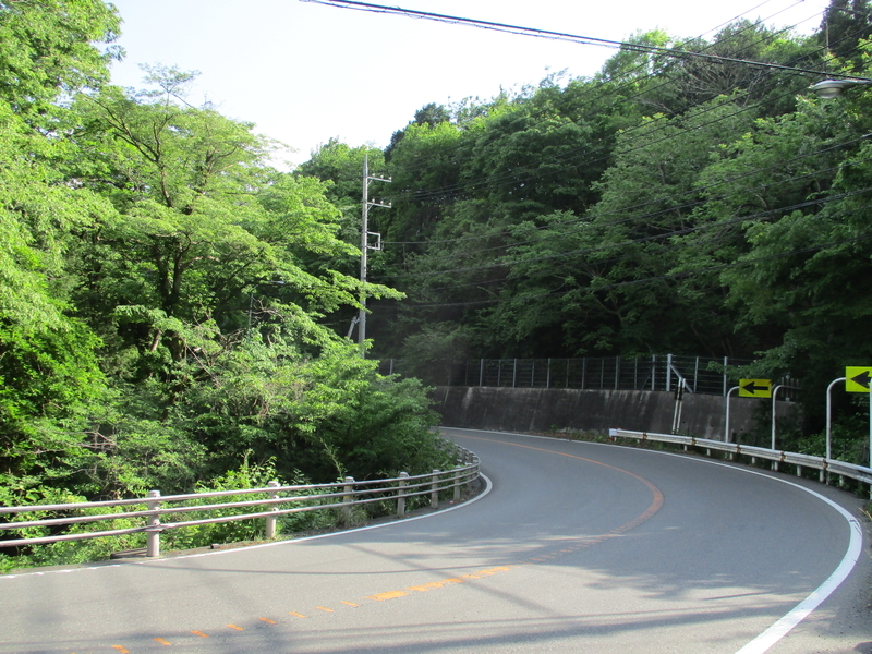 f:id:sekasa5489:20200513191604j:plain f:id:sekasa5489:20200513191604j:plain