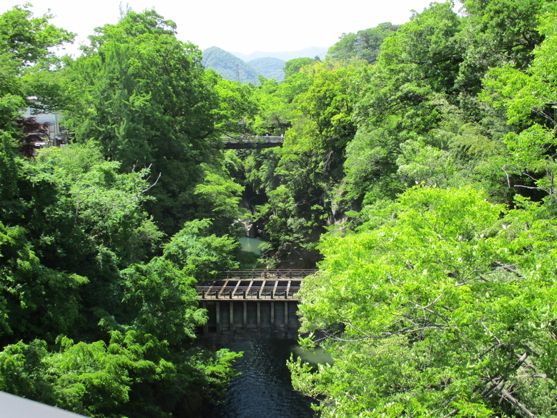 f:id:sekasa5489:20200514174201j:plain f:id:sekasa5489:20200514174201j:plain
