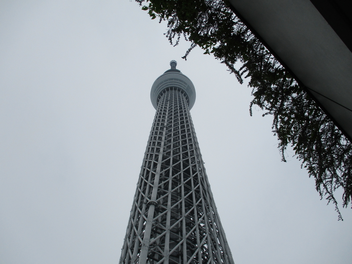 f:id:sekasa5489:20200618214015j:plain f:id:sekasa5489:20200618214015j:plain