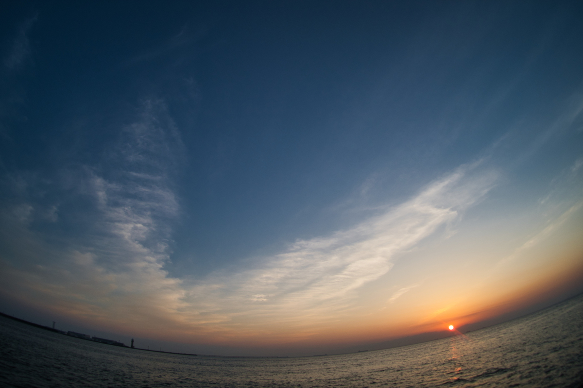 f:id:seki_albatross:20201104042528j:plain f:id:seki_albatross:20201104042528j:plain