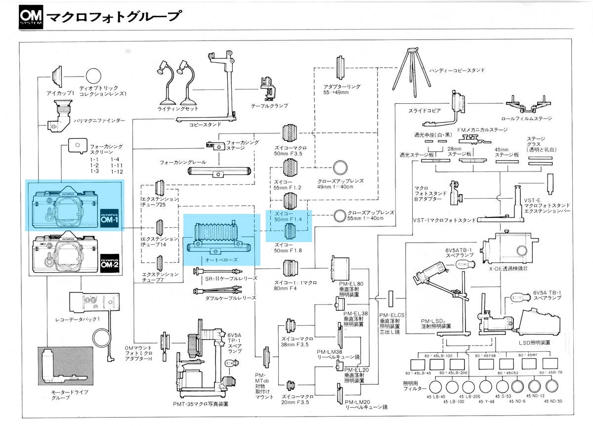 f:id:seki_albatross:20201225210032j:plain