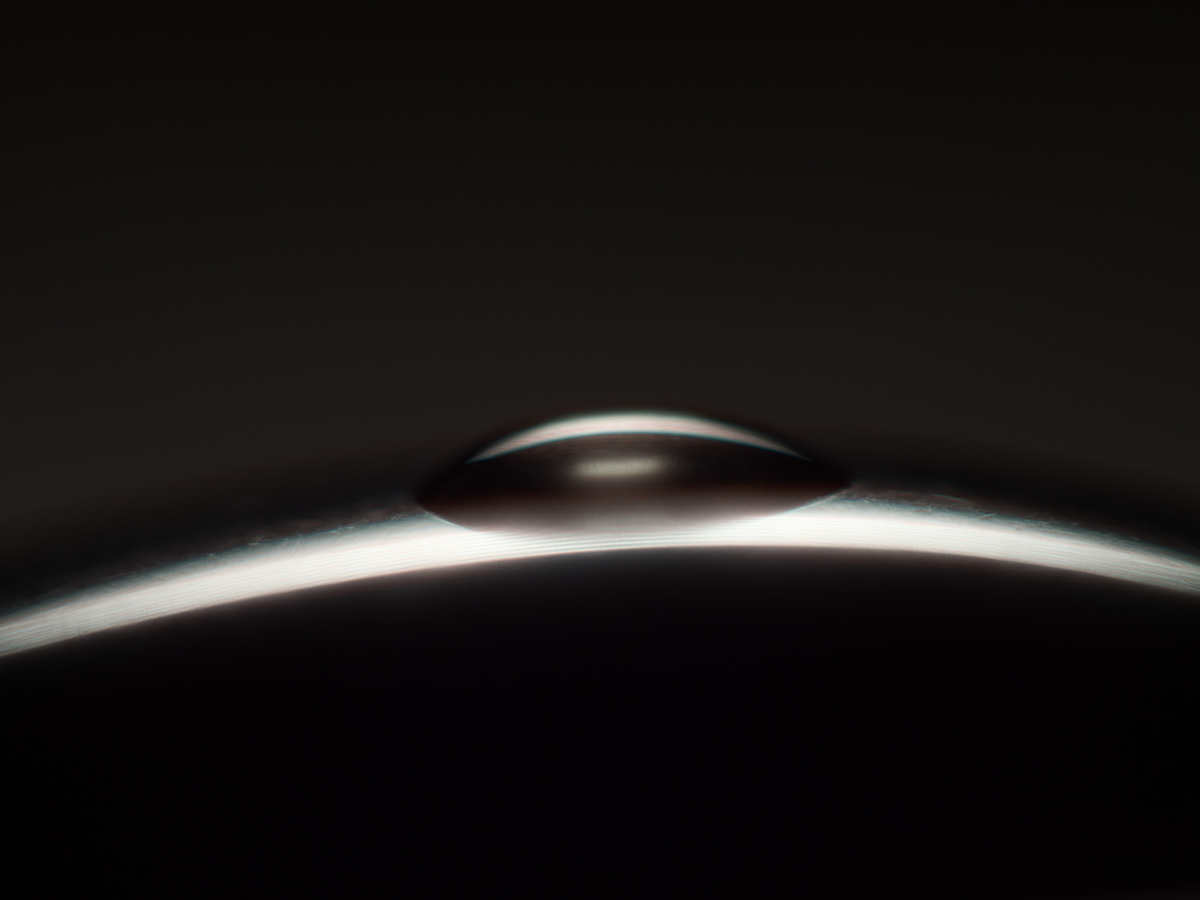 f:id:seki_albatross:20201225213450j:plain