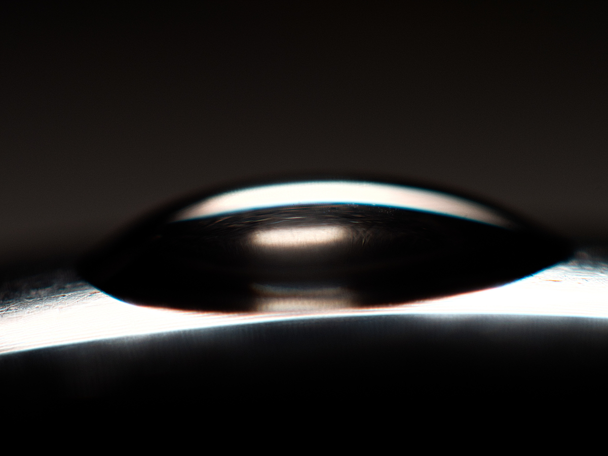 f:id:seki_albatross:20201225213523j:plain