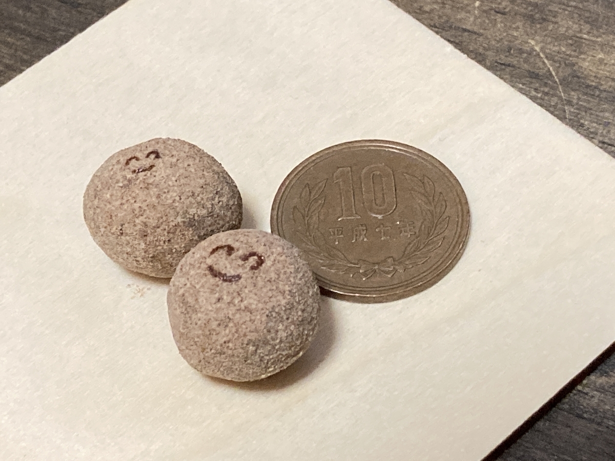 f:id:seki_albatross:20210320175327j:plain