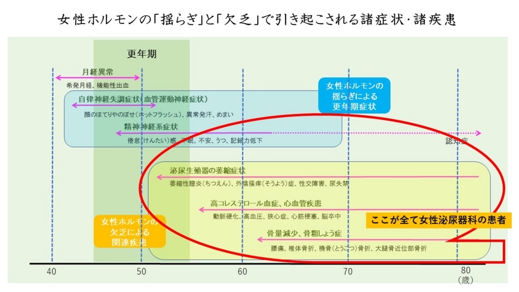 女性泌尿器科とは どんな病気を診る診療科か ドクター関口のちょっとセクシーな女子会ブログ