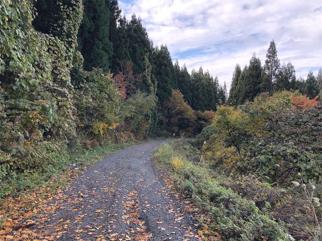 f:id:sekihayata:20181114111701j:image f:id:sekihayata:20181114111701j:image