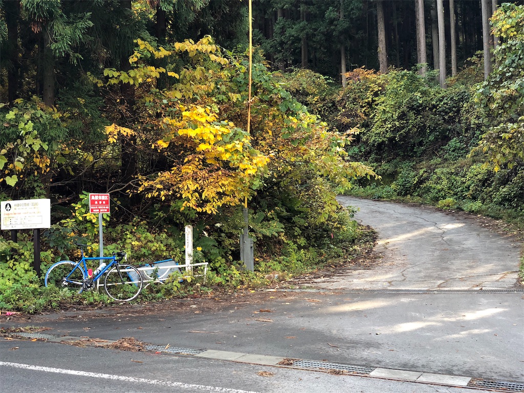 f:id:sekihayata:20181114111802j:image f:id:sekihayata:20181114111802j:image