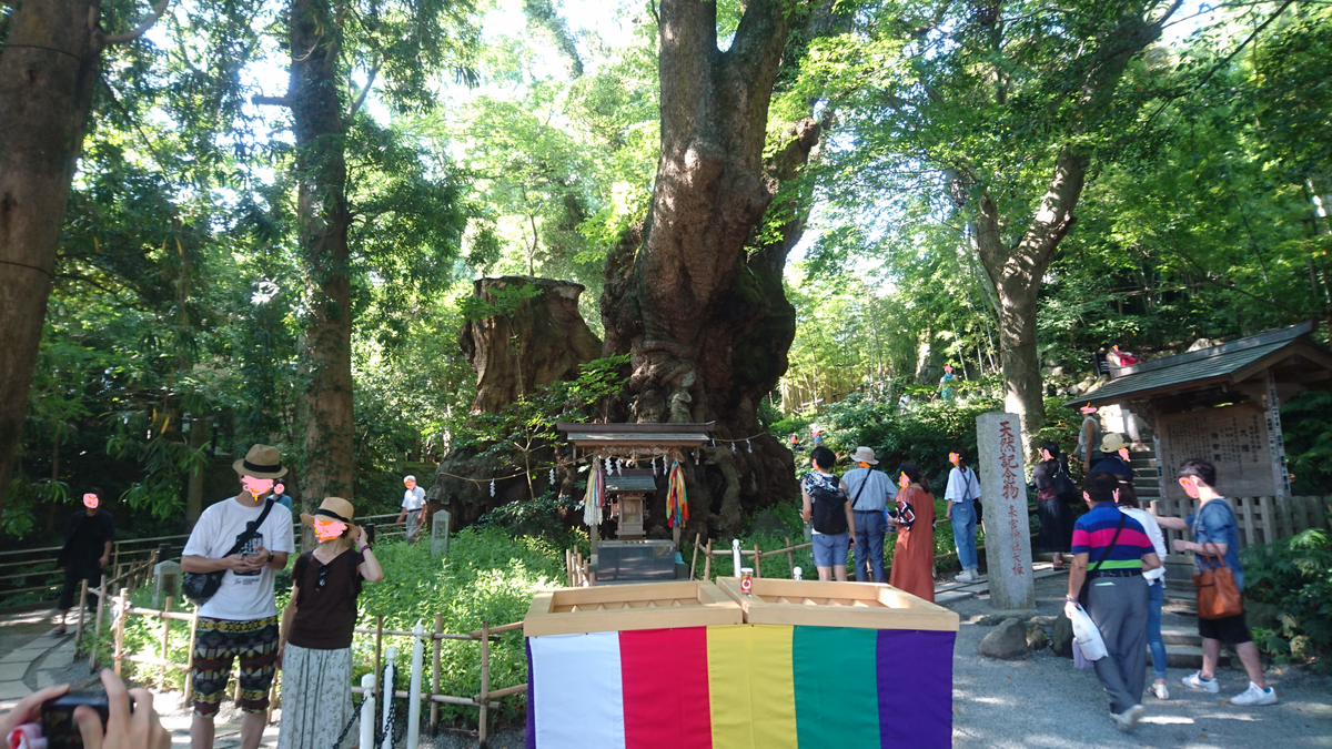 f:id:sekihotu:20190907132312p:plain