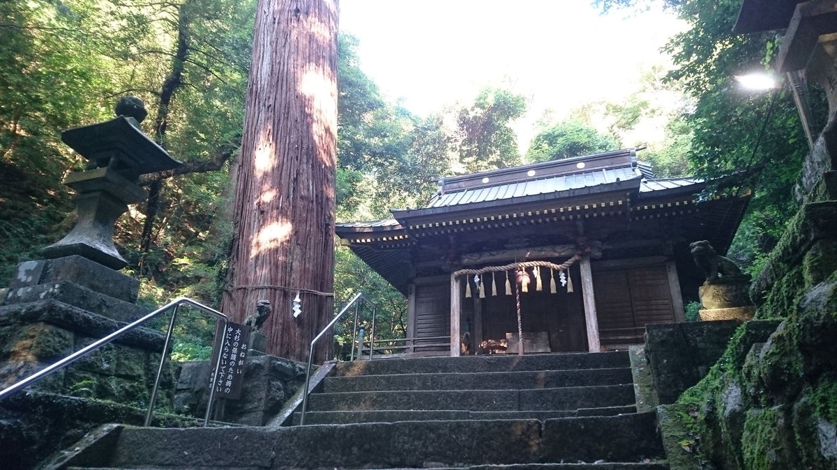 f:id:sekihotu:20190915152217j:plain