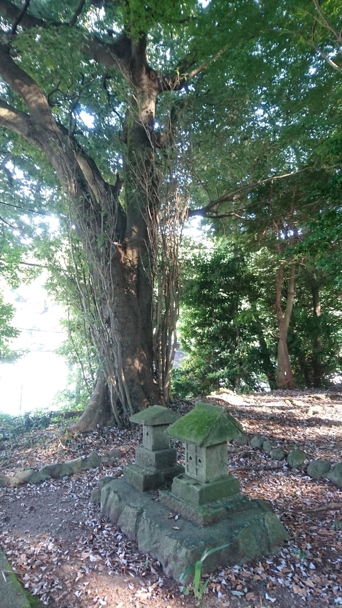 f:id:sekihotu:20190915231841j:plain