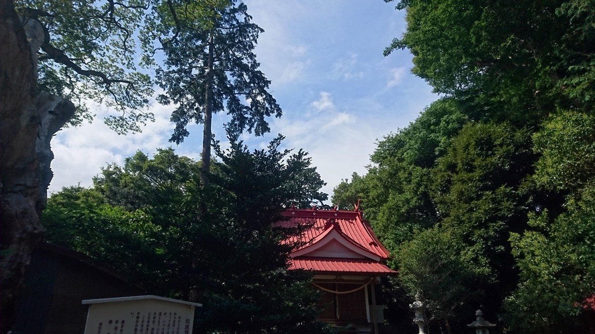 レイラインの美学 三峯神イザナギ イザナミは岩長毘女代理人 神津島伊豆山レイライン ｂライン セキホツ熊の謎を追え