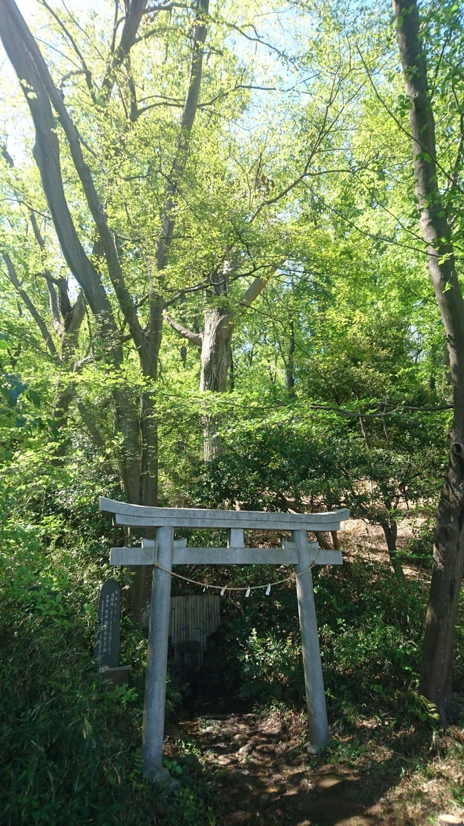 f:id:sekihotu:20200419145718j:plain