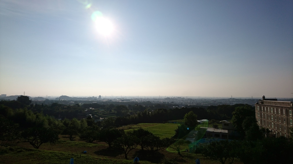 f:id:sekihotu:20200811161326j:plain f:id:sekihotu:20200811161326j:plain