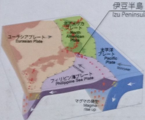 f:id:sekihotu:20200811181839j:plain f:id:sekihotu:20200811181839j:plain