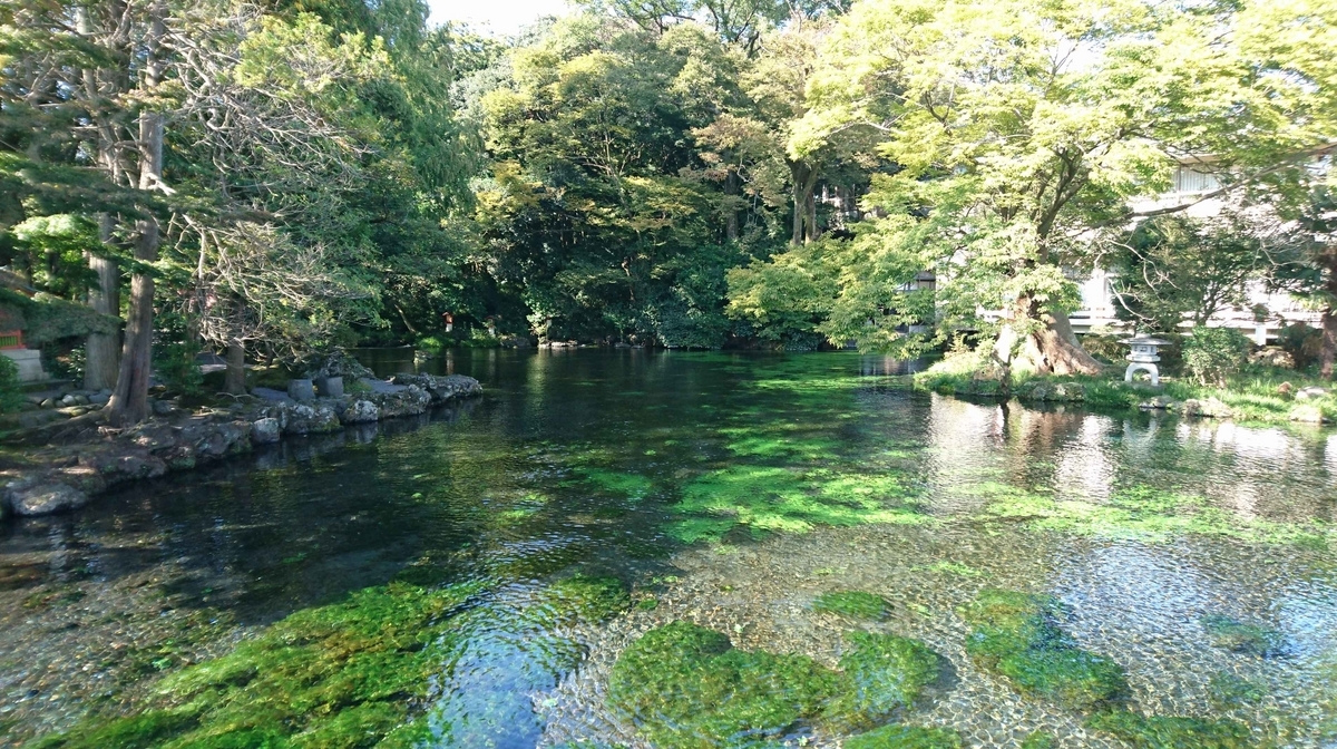 【中古】 籠（こ） 吉田穂津句集/花神社/吉田穂津 籠（こ） 吉田穂津句集/花神社/吉田穂津 本