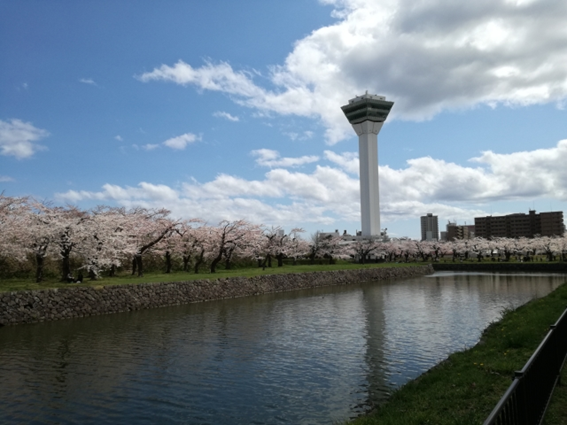 f:id:sekimeitiko:20200924103153p:plain