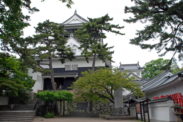 徳川家康の城】名古屋城・岡崎城・浜松城・駿府城・江戸城を