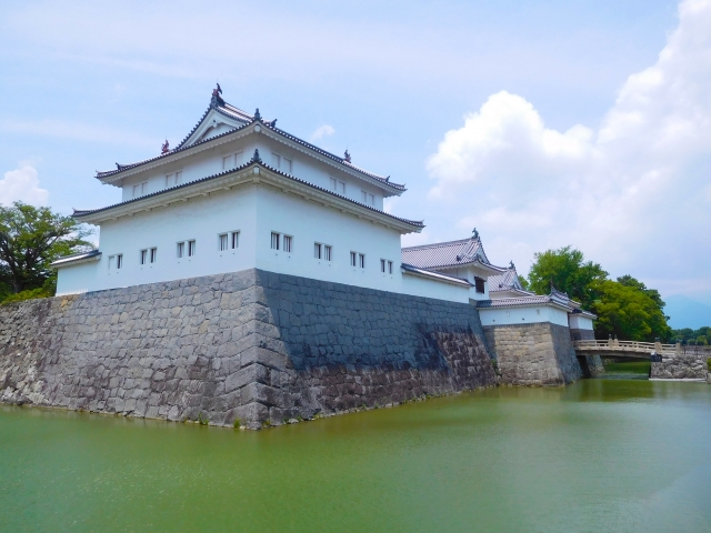 【非売品】岡崎城 限定版 御城印 JR東海ツアーズ版 どうする家康 ドラマ館 ⑦ 徳川家康公ゆかりの城で期間限定御城印を手に入れる！｜イチ押し