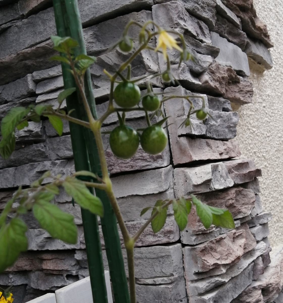 f:id:sekimeitiko:20201108151444j:plain f:id:sekimeitiko:20201108151444j:plain