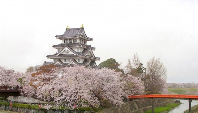 f:id:sekimeitiko:20201220115126p:plain